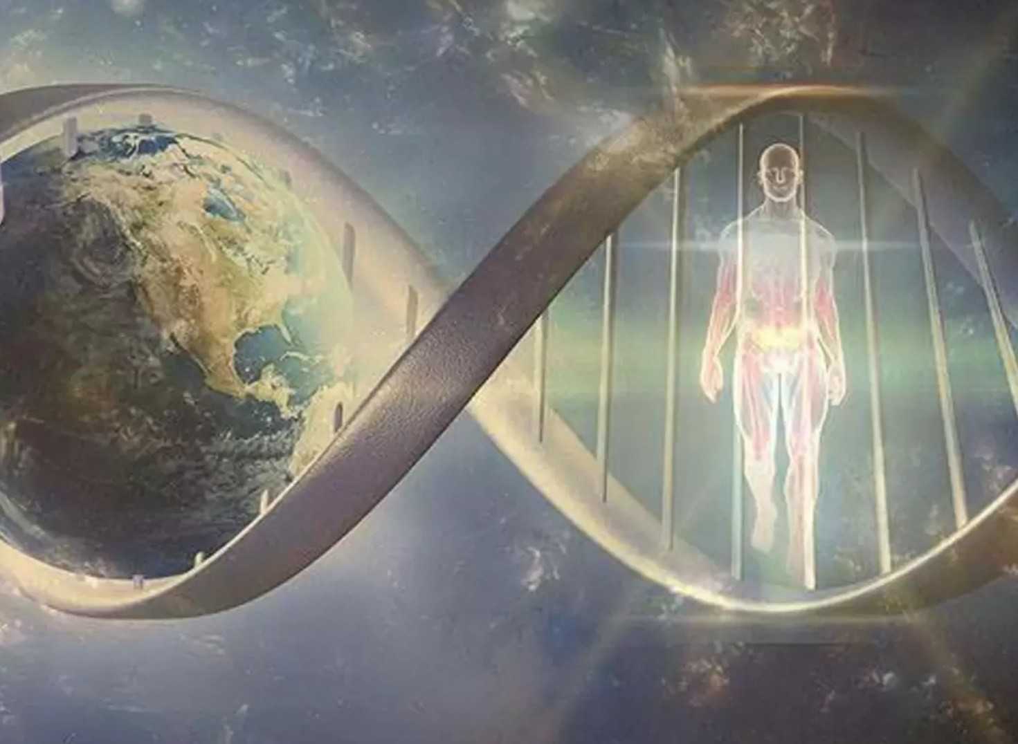 XLife.Life: La Rivoluzione Digitale che Sfida la Morte Biologica